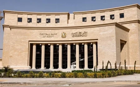 البنك المركزي المصري يكشف عن وجود 54.7 مليون مواطن يمتلكون حسابات نشطة