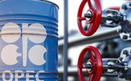 أوبك+ تتوقع زيادة إنتاج النفط تدريجياً في ظل التطورات العالمية