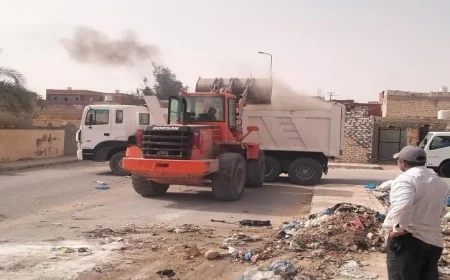 حملة نظافة شاملة في محافظة الجيزة بمقابر كفر الجبل لتحسين البيئة والراحة العامة
