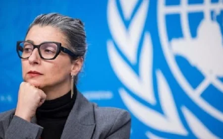 الأمم المتحدة تندد بالهجوم على المقررة الخاصة بحقوق الإنسان في فلسطين