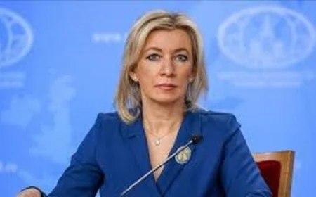 روسيا تدرس موقفها من الدعوة لإنشاء مجلس السلام وتداعيات ذلك على الساحة الدولية