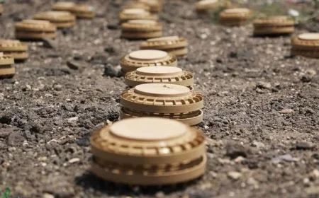 بولندا تطرح نظام بلوشتش لزرع الألغام وتستعد لتلغيم حدودها مع روسيا