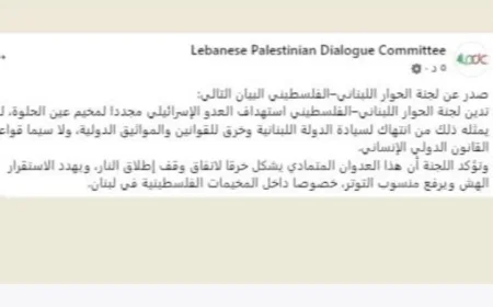 لجنة الحوار اللبناني الفلسطيني تؤكد أن استهداف مخيم عين الحلوة يعد انتهاكاً لسيادة لبنان
