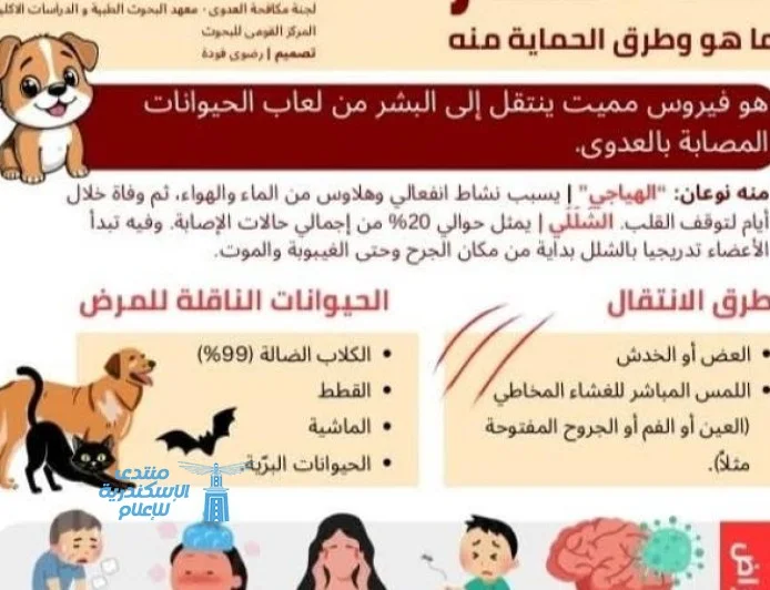 قومي البحوث يطلق انفوجراف للتوعية بمخاطر مرض السعار وتأثير الكلاب الضالة