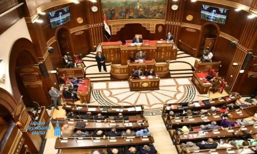 مجلس الشيوخ ينطلق في مناقشات شاملة لحماية الأطفال من مخاطر الإنترنت ووسائل التواصل الاجتماعي