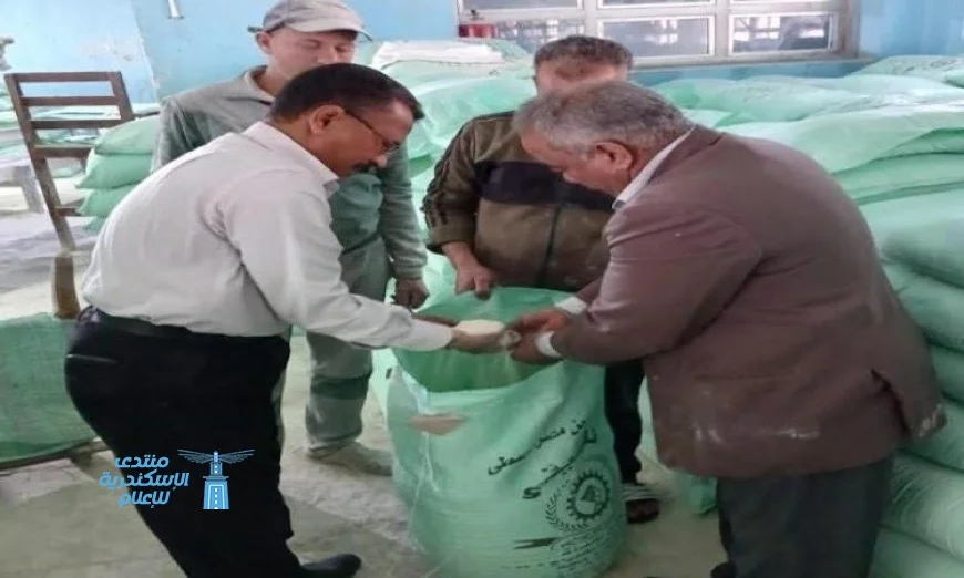 تحرير 371 مخالفة تموينية في حملات تفتيش مكثفة على المخابز والأسواق في المنيا