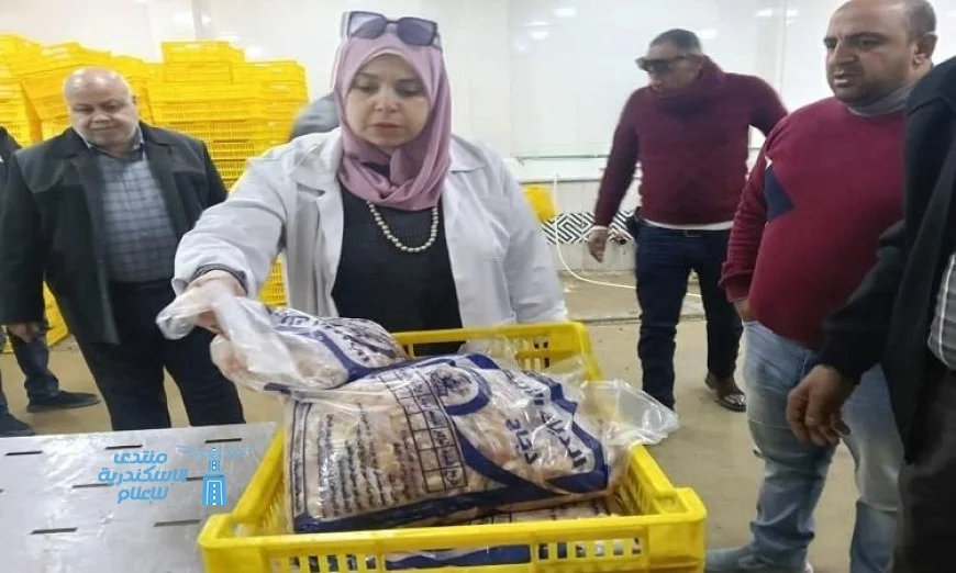 حملات مكثفة من وزارة الطب البيطري لضمان سلامة المجازر والأسواق في الفيوم