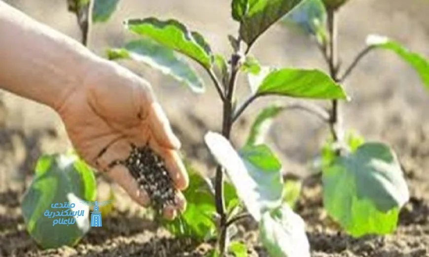 تقنيات التسميد الذكي تتكيف مع احتياجات التربة في الوقت الحقيقي