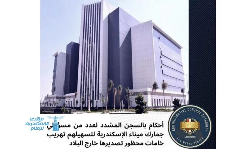 اعتقال 6 مسؤولين في جمارك ميناء الإسكندرية بتهمة تهريب خامات محظورة