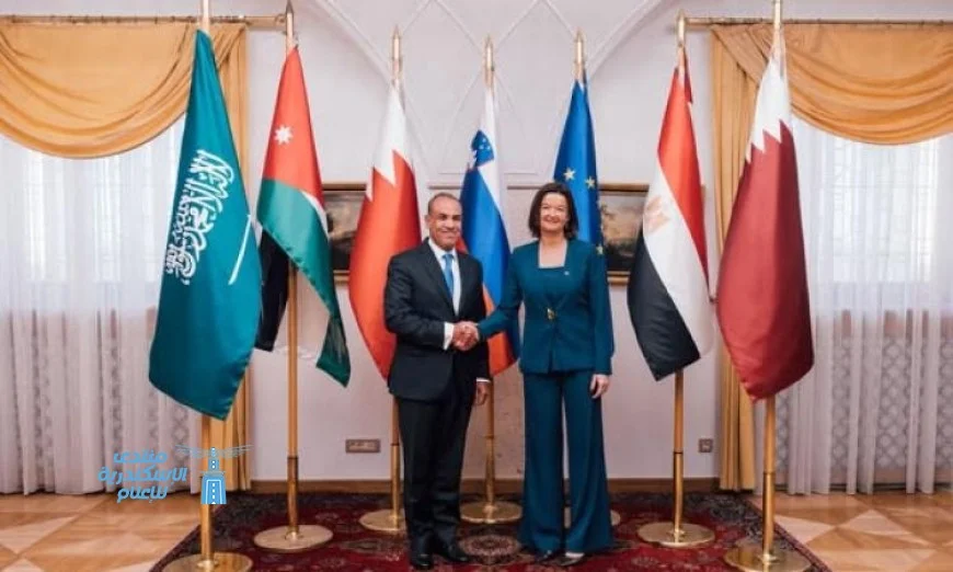 وزير الخارجية يشارك في اجتماع اللجنة الوزارية العربية الإسلامية حول غزة في سلوفينا