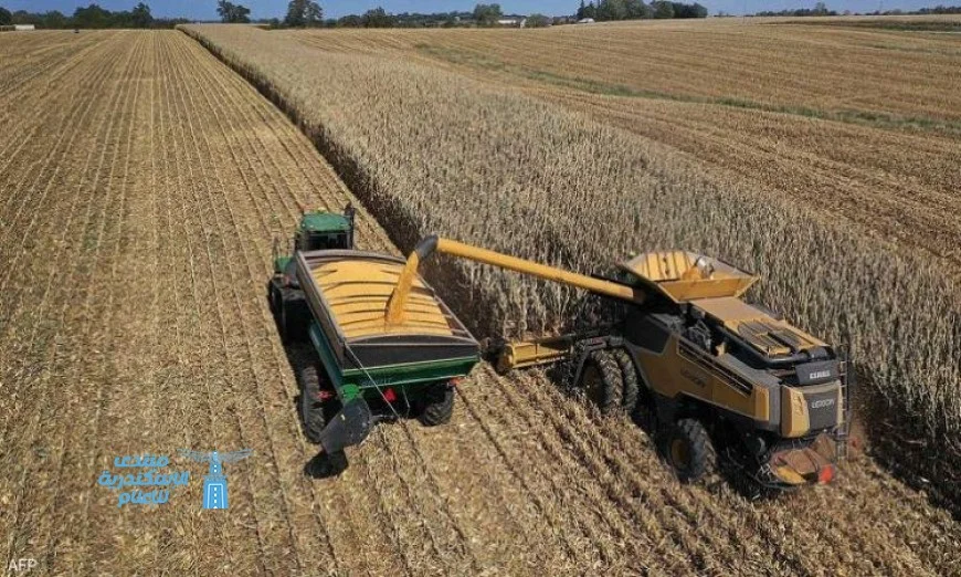 توقعات بتراجع دخل المزارع الأمريكية مع زيادة الاعتماد على الدعم الحكومي