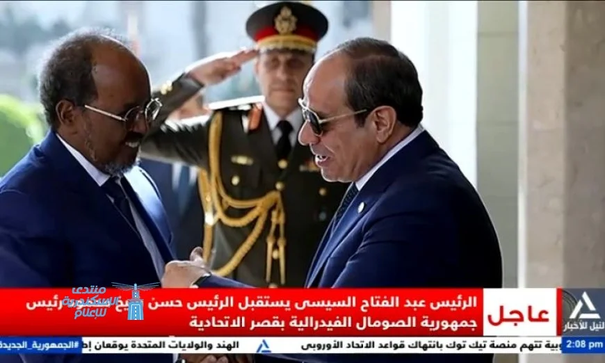 الرئيس السيسي يؤكد دعم مصر الثابت لوحدة وأمن الصومال