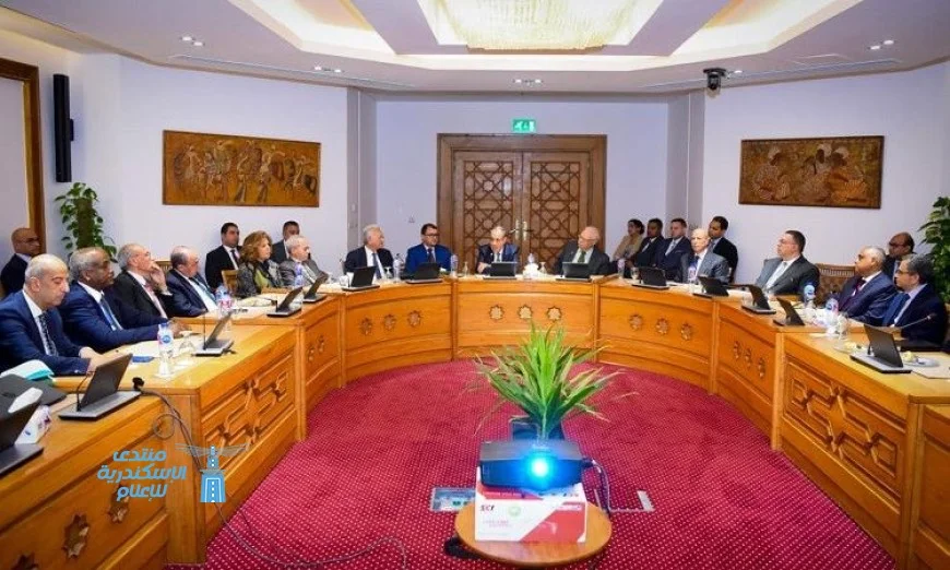 لقاء مثير بين وزير الخارجية والسفراء المصريين السابقين في قضايا الشأن الإفريقي