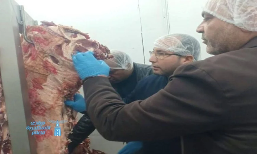 حملة تفتيشية ناجحة في القليوبية تضبط 7 أطنان من اللحوم والدواجن الفاسدة