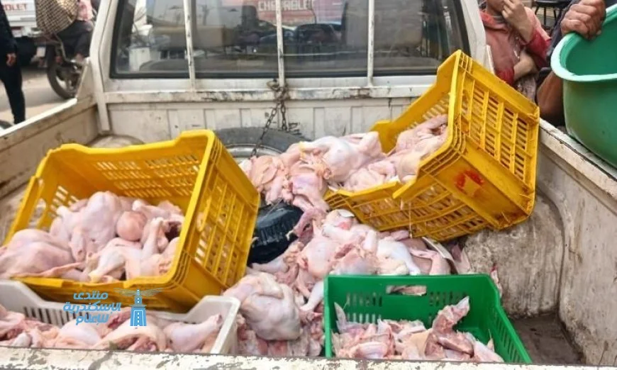 تحرير 236 محضر تمويني أثناء حملات تفتيشية على المخابز والأسواق في المنوفية