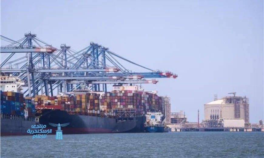 ميناء دمياط يشهد حركة نشطة بتداول 24 سفينة حاويات وبضائع عامة
