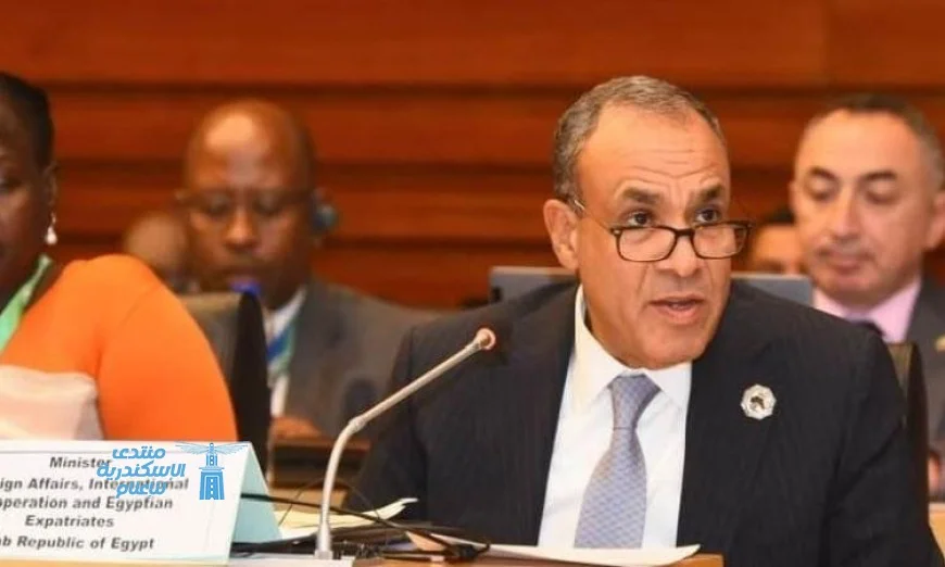 وزير الخارجية المصري يؤكد التزام بلاده بدعم جهود استرداد التراث الإفريقي