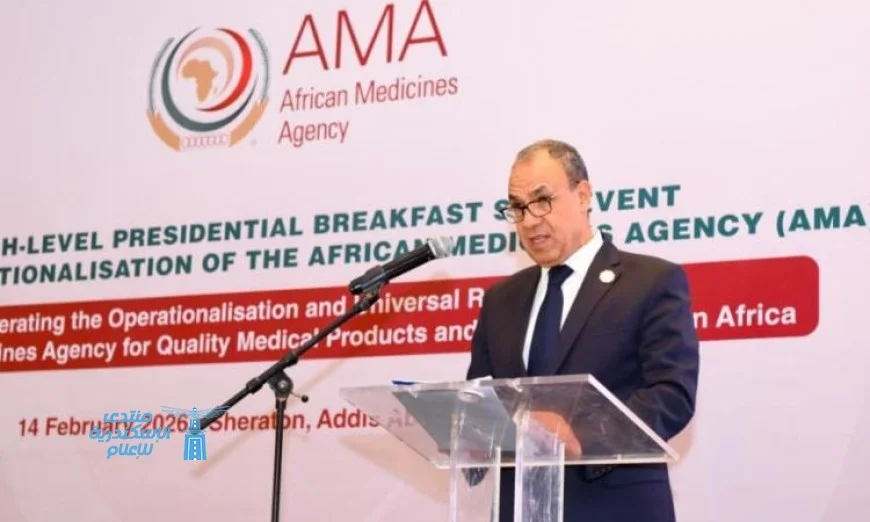 وزير الخارجية يكشف استراتيجية مصر لتعزيز الصناعات الدوائية والأمن الصحي في إفريقيا