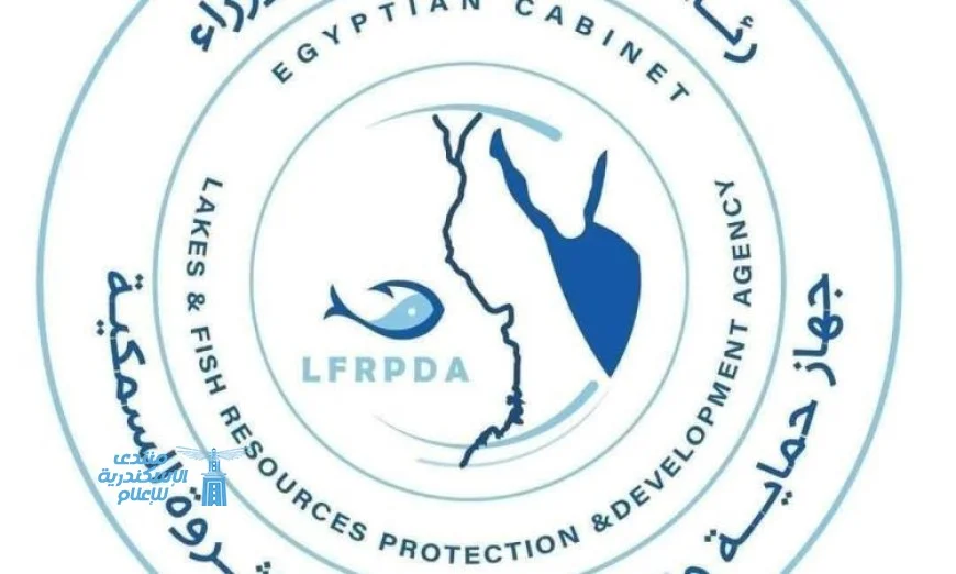 تنمية بحيرة وادي الريان تتواصل بإدخال 460 ألف وحدة من زريعة الطوبار