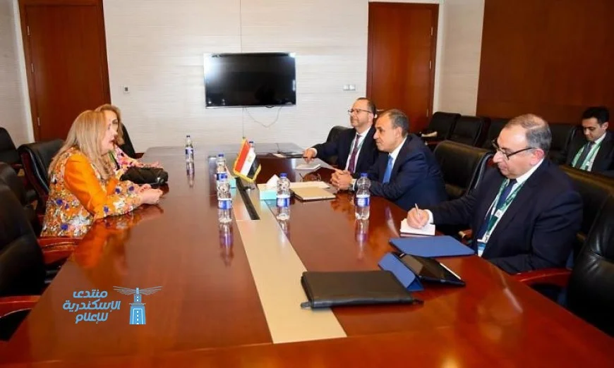 وزير الخارجية يشدد على دور القطاع الخاص الحيوي في دفع التنمية المستدامة بإفريقيا