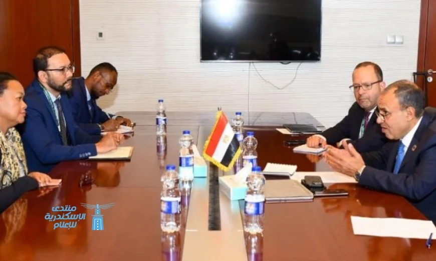 وزير الخارجية يتباحث مع مديرة الآلية الأفريقية حول تعزيز الإصلاحات المؤسسية في القارة الأفريقية