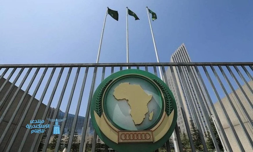 رئيس الاتحاد الأفريقي يبرز دور العمل الأفريقي المشترك ضمن مجموعة العشرين