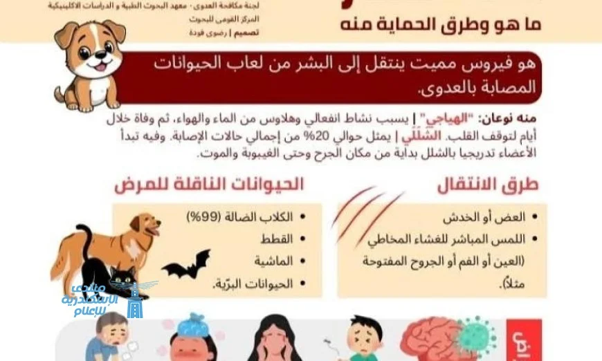 قومي البحوث يطلق انفوجراف للتوعية بمخاطر مرض السعار وتأثير الكلاب الضالة