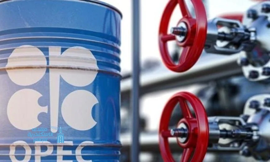 أوبك+ تتوقع زيادة إنتاج النفط تدريجياً في ظل التطورات العالمية