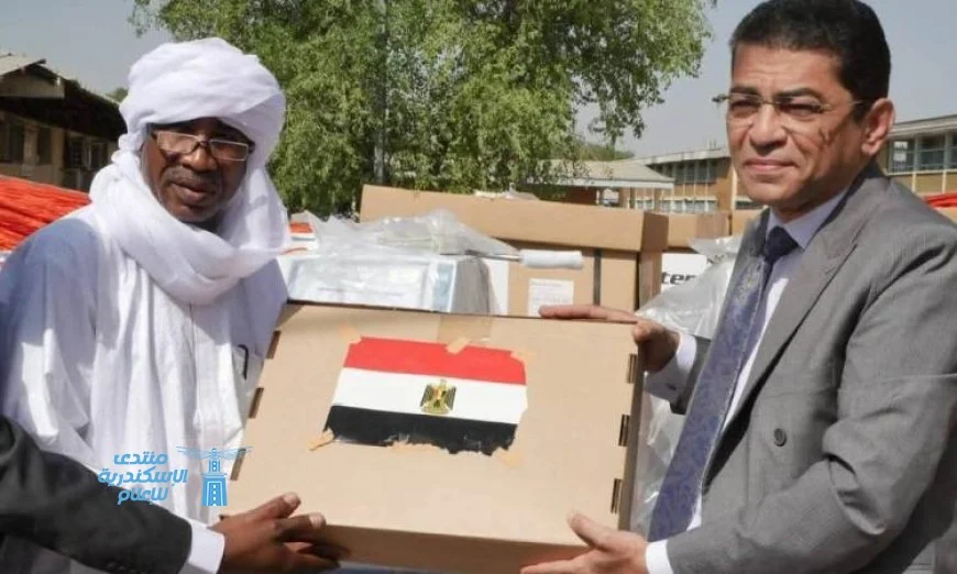 منحة مصرية بـ 10 آلات لغسيل الكلى تسلم لوزير الصحة التشادي على يد السفير المصري