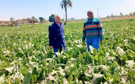 مديريات الزراعة تعزز المتابعة الميدانية لدعم المزارعين وتعزيز الحوكمة الزراعية