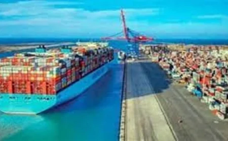 ميناء دمياط يستقبل 28 سفينة حاويات وبضائع عامة في يوم واحد