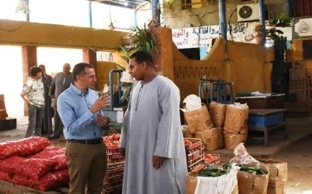 محافظ أسوان يقوم بجولة ميدانية مفاجئة لضبط الأسعار في أسواق أبو الريش