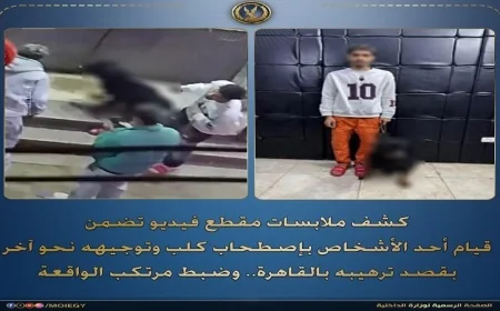 ضبط شخص يلقي بالرهبة على آخر بتوجيه كلبه نحوه في القاهرة