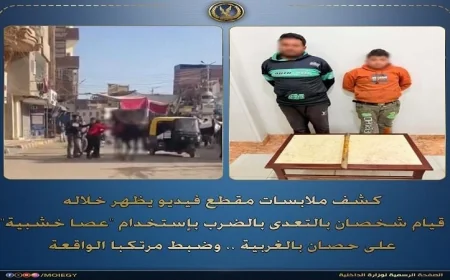 اعتقال عامل وابنه بتهمة الاعتداء على حصان باستخدام عصا خشبية في الغربية