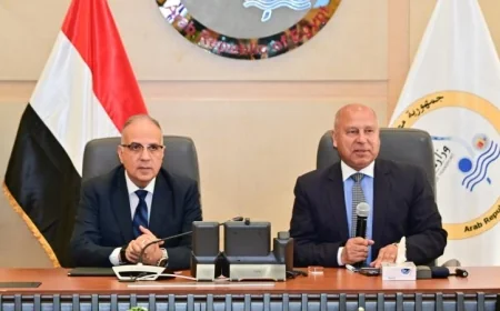 وزيرا النقل والري يتعاونان لتعزيز مشاريع الطرق والكباري والأنفاق وتحفيز العمل عليها