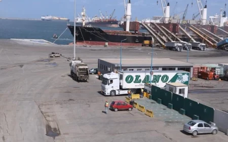 ميناء دمياط يطلق خدمة ترانزيت مبتكرة للشحن عبر خط الرورو لدول الخليج