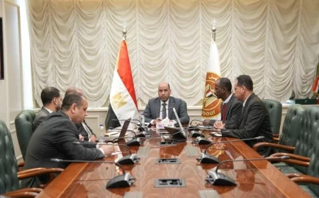 رداد يستعرض فرص التعاون مع رئيس الجامعة البريطانية في القاهرة والجهات المعنية