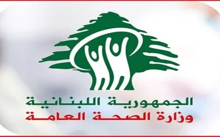 مقتل 22 شخصا وإصابة آخرين في غارة إسرائيلية على بلدة صريفا جنوبي لبنان