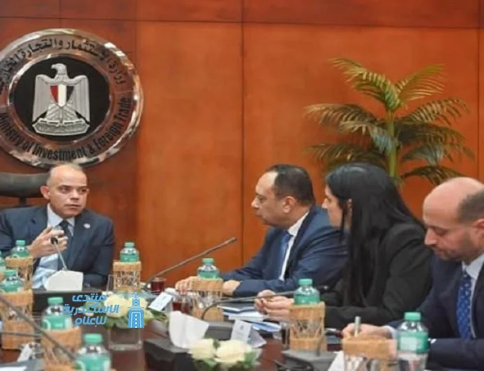 وزير الاستثمار يجتمع بمسؤولي صندوق مصر السيادي وهيئة الرقابة المالية لتعزيز التعاون
