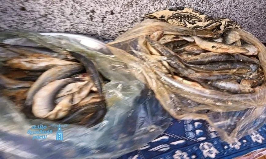 تحرير 214 محضر تمويني وضبط 160 كجم من الأسماك الفاسدة في المنوفية