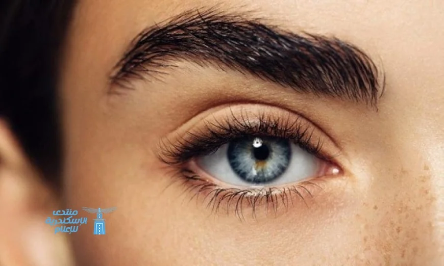 أربعة طرق سهلة وطبيعية لتكثيف الحواجب في المنزل