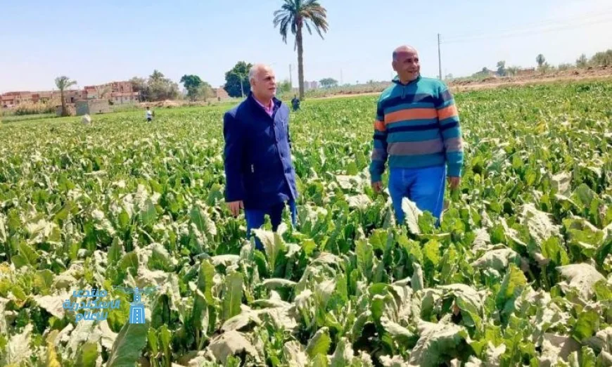 مديريات الزراعة تعزز المتابعة الميدانية لدعم المزارعين وتعزيز الحوكمة الزراعية