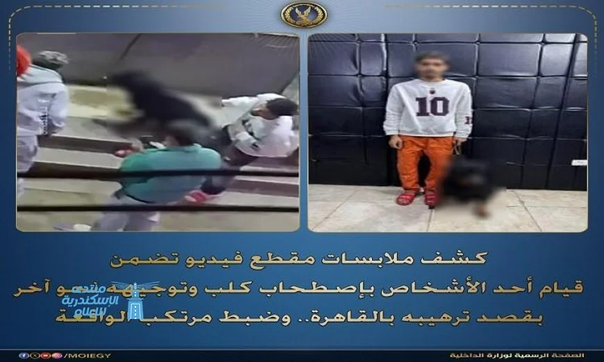 ضبط شخص يلقي بالرهبة على آخر بتوجيه كلبه نحوه في القاهرة