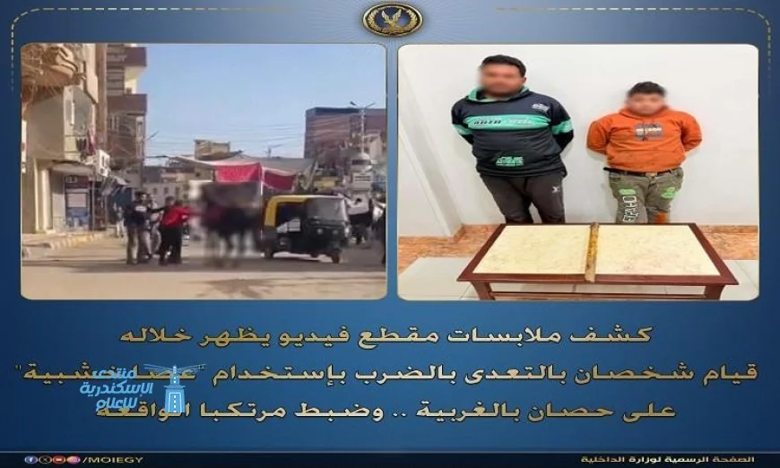اعتقال عامل وابنه بتهمة الاعتداء على حصان باستخدام عصا خشبية في الغربية