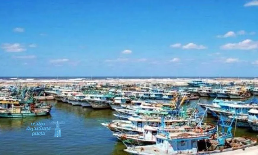 ميناء الصيد البحري ببرج البرلس يعمل بكامل طاقته لليوم الثالث على التوالي