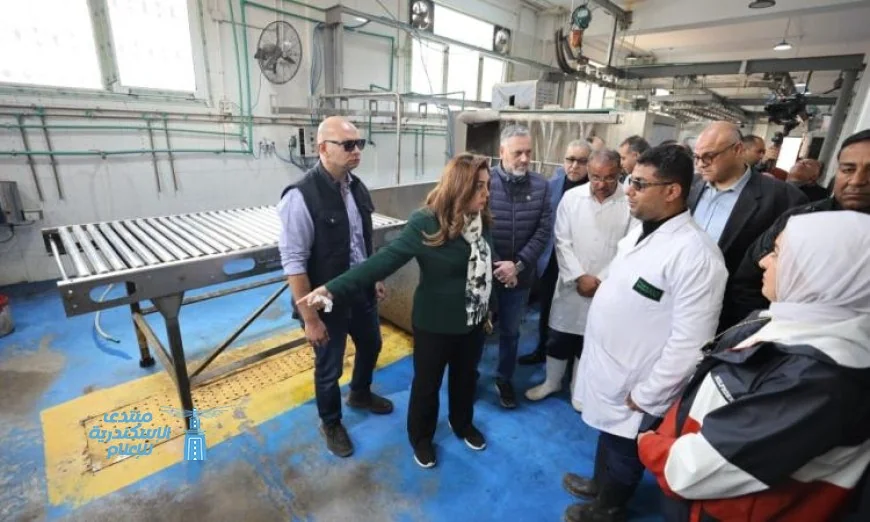 وزيرة التنمية المحلية تعلن عن إقالة مدير مديرية الطب البيطري في الإسكندرية