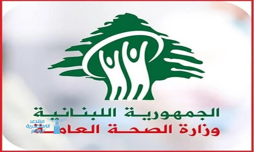 مقتل 22 شخصا وإصابة آخرين في غارة إسرائيلية على بلدة صريفا جنوبي لبنان