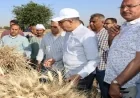 محافظ المنيا يعلن عن زراعة 232 ألف فدان من القمح وتحقيق نمو ملحوظ يفوق التوقعات