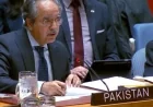 باكستان ترى في مجلس التعاون الخليجي أساسا للاستقرار الإقليمي