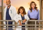 تجديد مسلسل غريز أناتومي للموسم الثالث والعشرين قبل انتهاء الموسم الثاني والعشرين